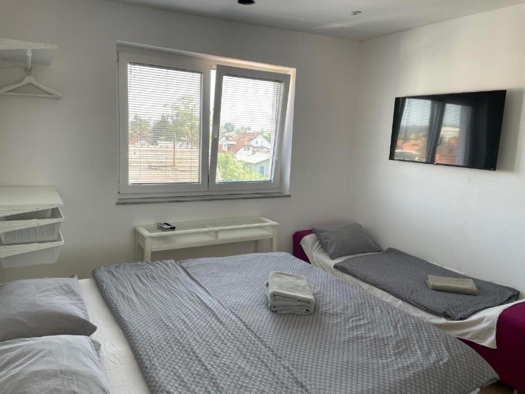 R41 - Tivoli Groundfloor Apartment Ljubljana Exteriör bild