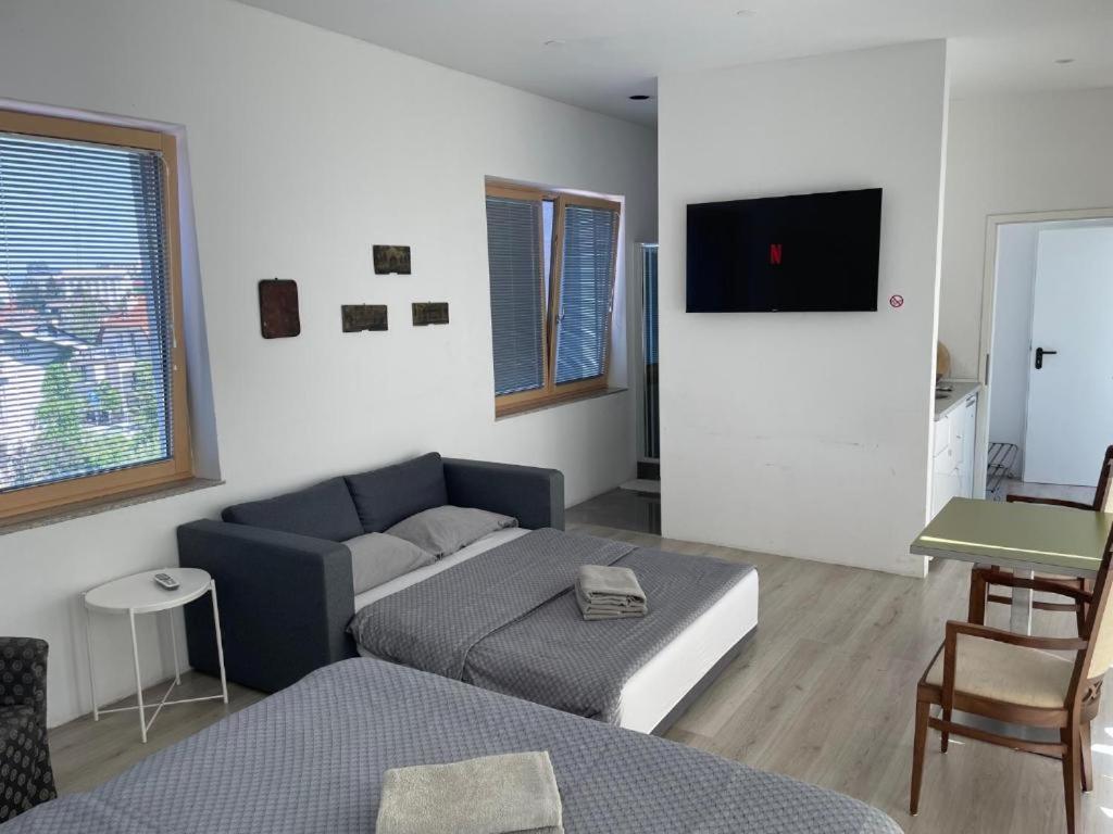 R41 - Tivoli Groundfloor Apartment Ljubljana Exteriör bild