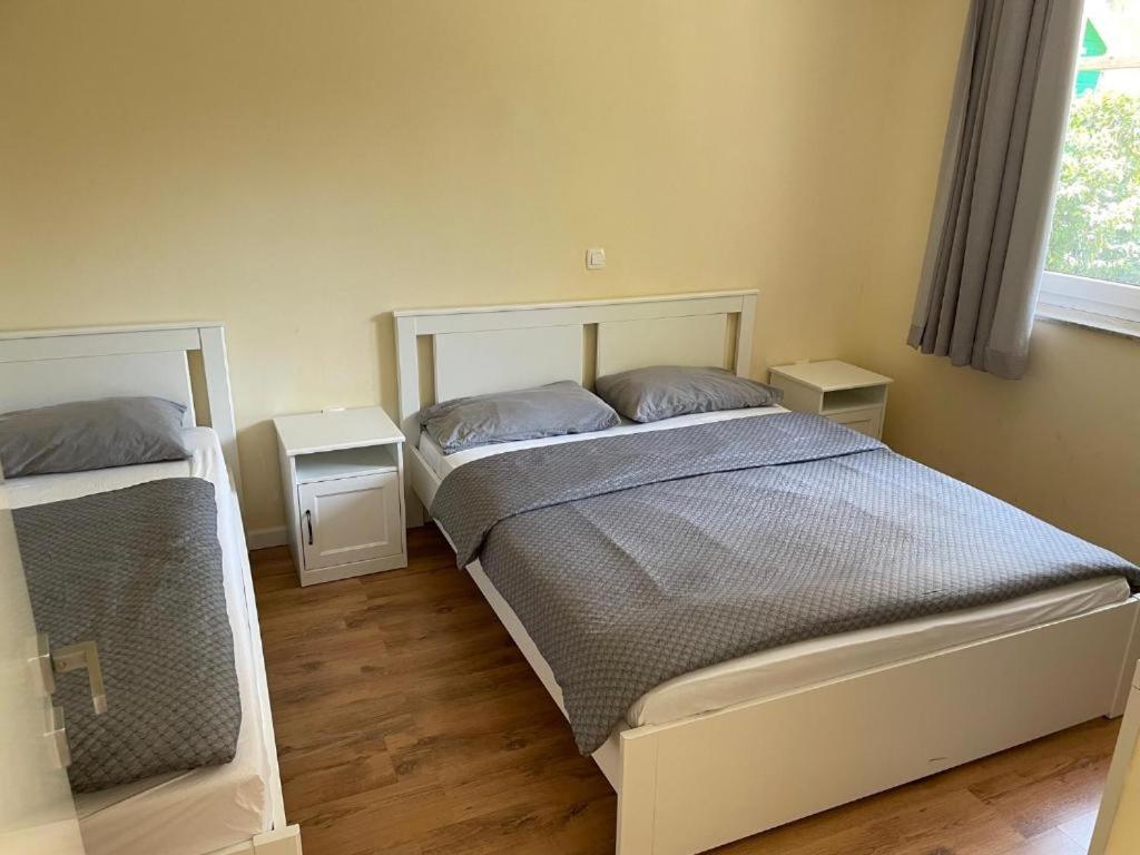 R41 - Tivoli Groundfloor Apartment Ljubljana Exteriör bild