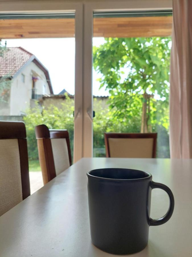 R41 - Tivoli Groundfloor Apartment Ljubljana Exteriör bild